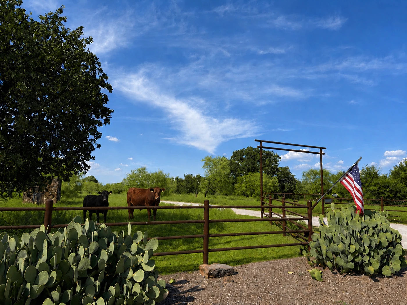 The gate, pasture, and trees at the real BK Ranch in Graham, Texas
